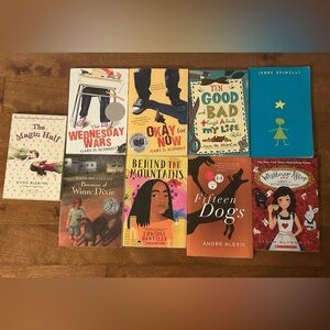 Collection of Teen Fiction Book Set